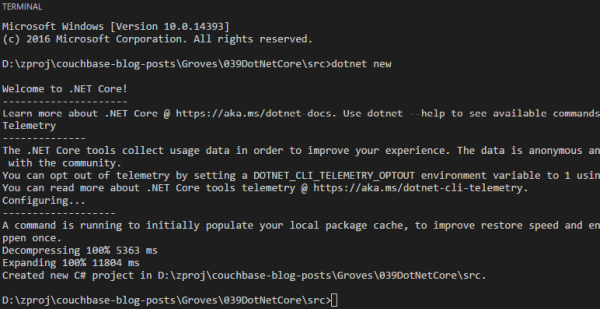 Running dotnet new to create a new .NET Core project